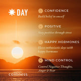 Aroma Vastu Calmness Essential Oil | Day & Night Essential Oil Blend | Best for Stress Relief and Aura Balance