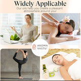 Aroma Vastu BHUMI Diffuser Oil | Earth Element Vastu Remedy | Grounding & Calming Essential Oil Blend | For Home, Office & Meditation Use