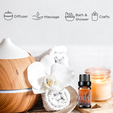 Aroma Vastu ORA Essential Oil for Tea Light Diffuser | Relaxing Aroma | Suited for all genders