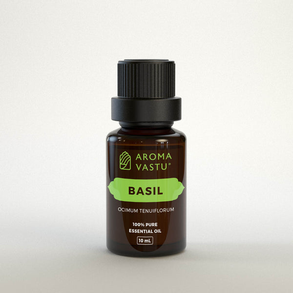 Basil Pure Essential Oil