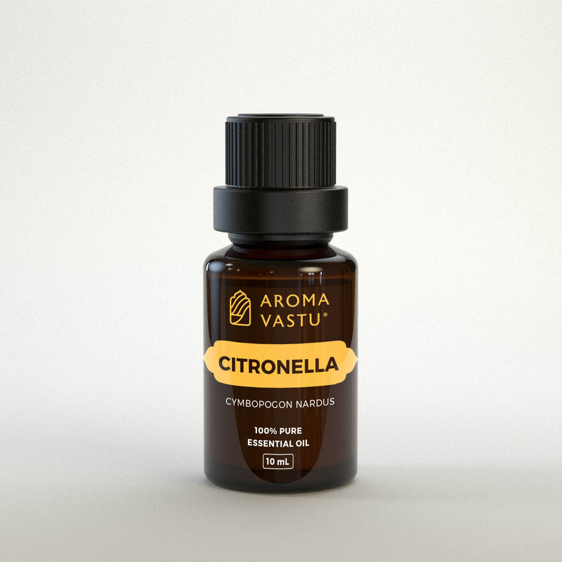Citronella Pure Essential Oil
