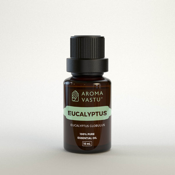 Eucalyptus Pure Essential Oil